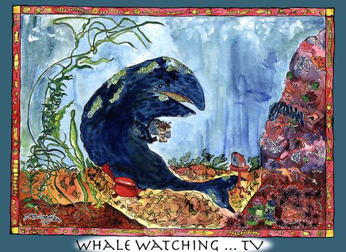 Whale Watching ... TV.