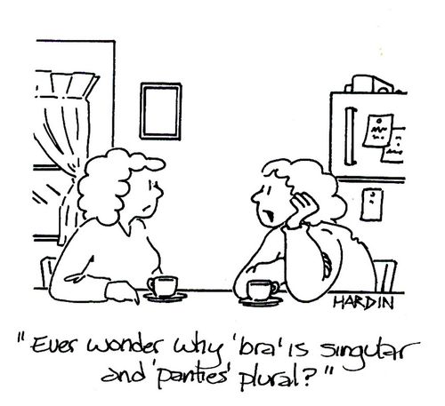 'Ever wonder why 'bra' is singular and 'panties' is plural?'