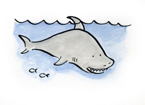 Shark