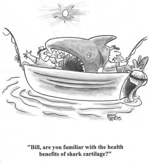 Fisherman to friend about to be devoured by shark: 'Bill, are you familiar with the health benefits of shark cartilage?'