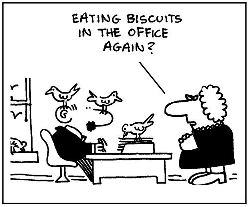 'Eating biscuits in the office again?'
