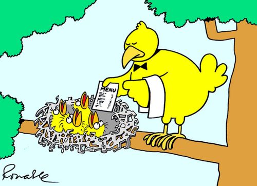 'Bird menu.'