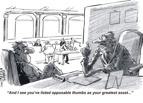 'And I see you've listed opposable thumbs as your greatest asset...'