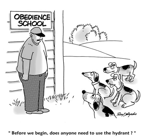 'Before we begin, does anyone need to use the hydrant?'