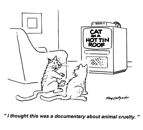 'I thought this was going to be a documentary about animal cruelty.'