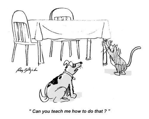 'Can you teach me how to do that?'
