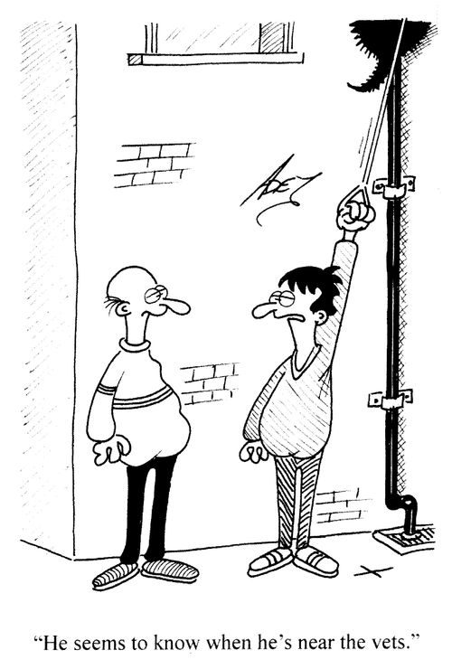 'He seems to know when he's near the vets.'