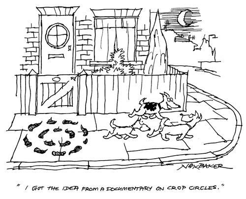 "I got the idea from a documentary on crop circles."