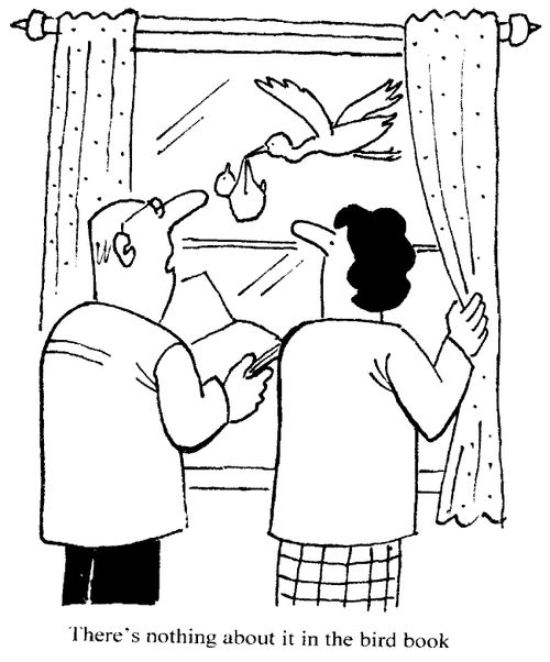 "There's nothing about it in the bird book."