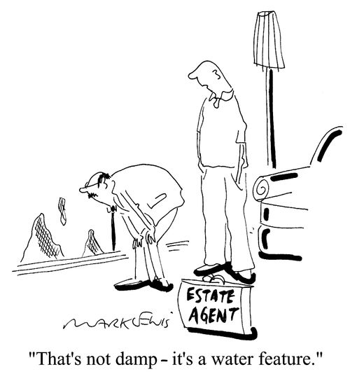 "That's not damp- it's a water feature."