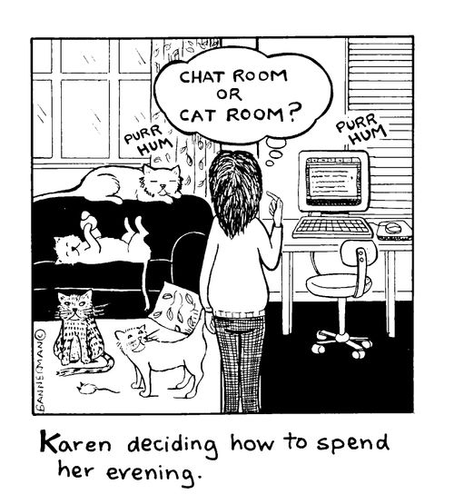 'Chat room or cat room?'