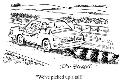 "We've picked up a tail."