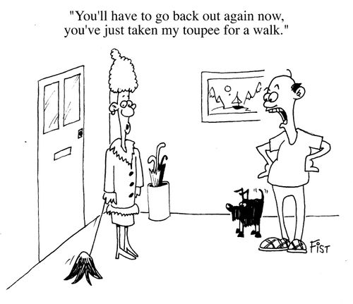 ...taken my toupee for a walk...