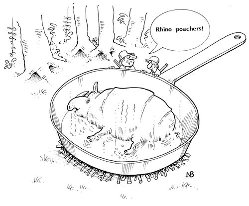 "Rhino Poachers !"