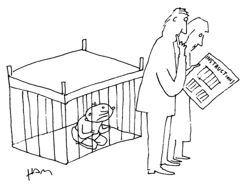The upside down cot