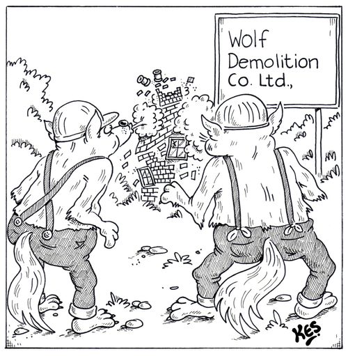 Wolf Demolition co.