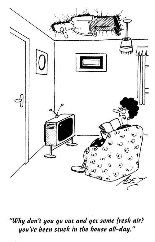 'Why don't you go out and get some fresh air? You've been stuck in the house all day.'