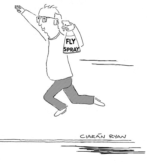 Fly Spray
