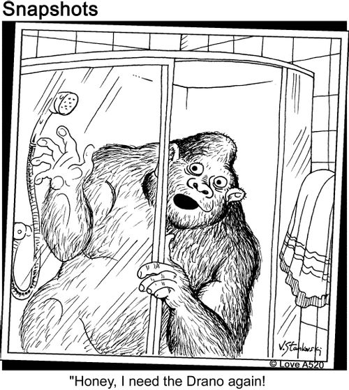 'Honey, I need the Drano again.'