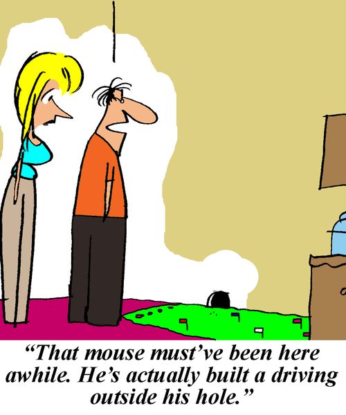 'That mouse must've been here awhile. he's actually built a driving range outside his hole.'