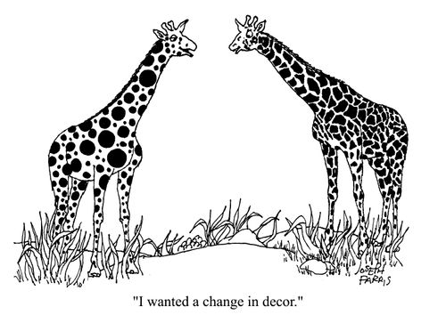 'I wanted a change in decor.'