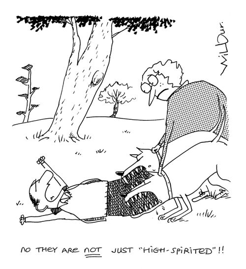 'No, they are not just high spirited!'