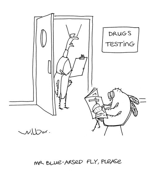 'Mr Blue Arsed Fly, please.'