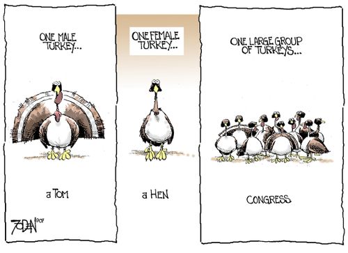 Turkey Day.