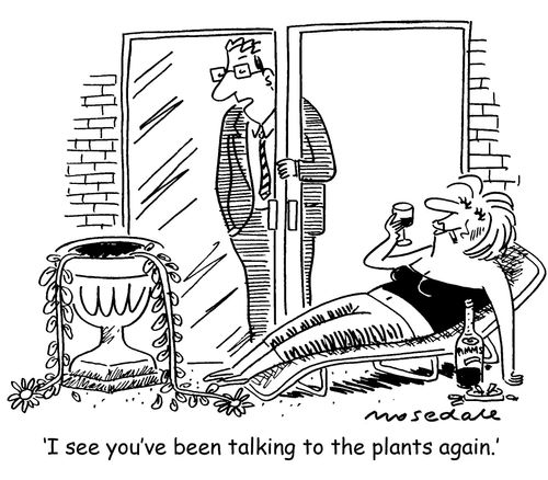 'I see you've been talking to the plants again.'