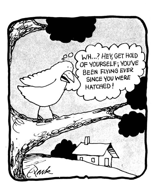 'Wh..? Hey, get hold of yourself, you've been flying ever since you were hatched!'