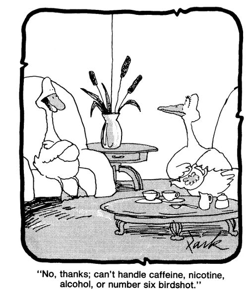 'No, thanks; can't handle caffeine, nicotine, alcohol, or number six birdshot.'