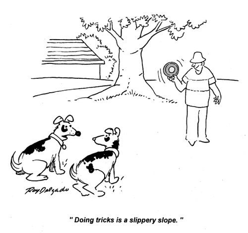 'Doing tricks is a slippery slope.'
