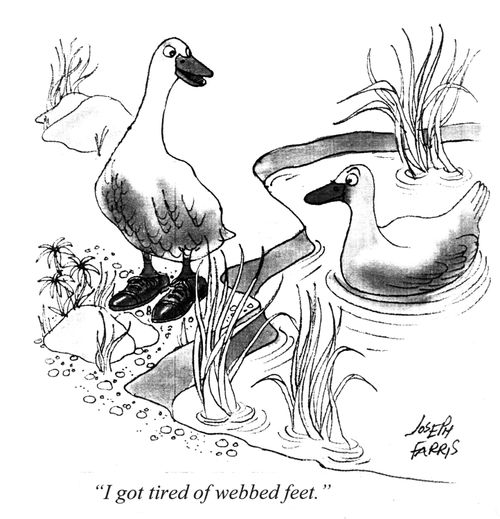 'I got tired of webbed feet.'