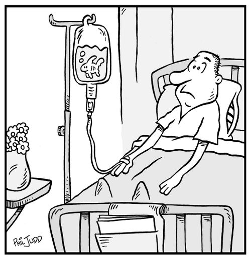 Man sitting in hospital bed notices a Goldfish swimming in his Intravenous Bag.