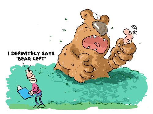 'Definitely says bear left.'