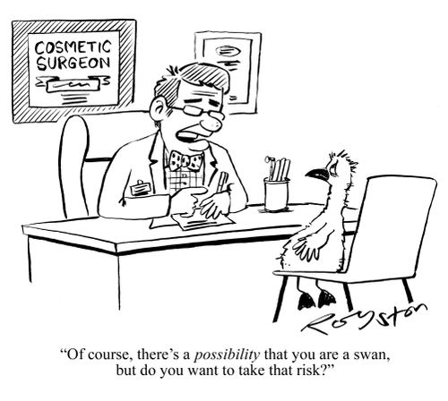 Cosmetic surgeon tells Ugly Duckling: 'Of course, there's a POSSIBILITY that you are a swan, but do you want to take that risk?'