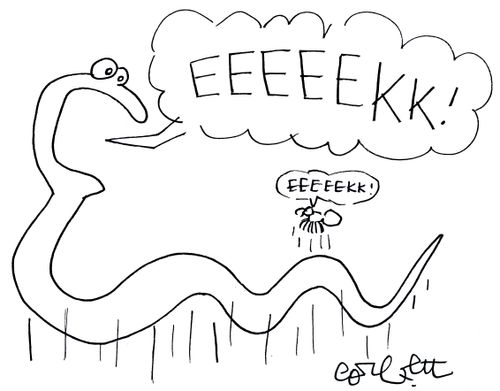 Spider and Snake Scared of Each Other,