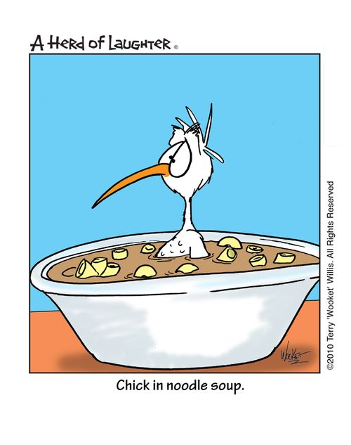 Chick in noodle soup.
