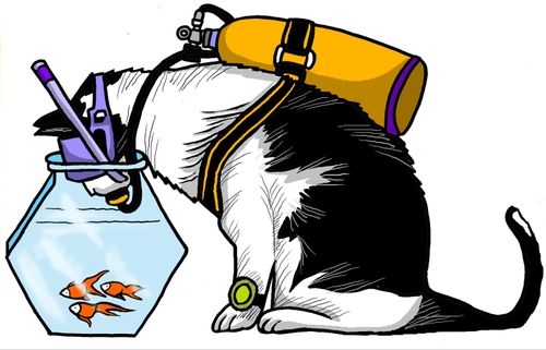 Diving Cat.