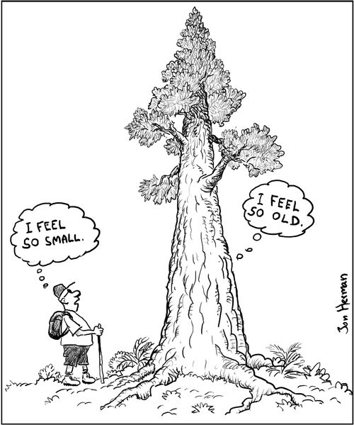 Nature Perspectives...