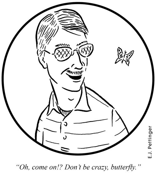 'Oh, come on!!? Don't be crazy, butterfly.'