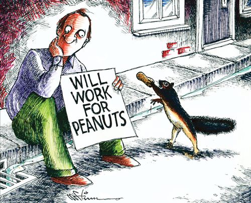 Will Work For Peanuts