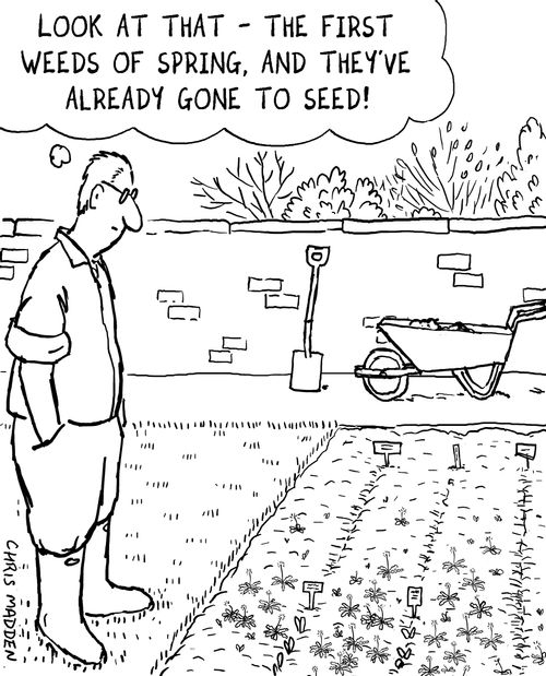 'First weeds of spring.'