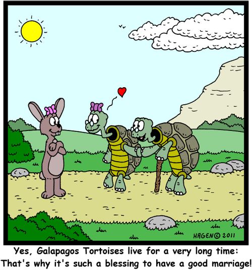 'Yes, Galapagos Tortoises live for a very long time: That's why it's such a blessing to have a good marriage!'