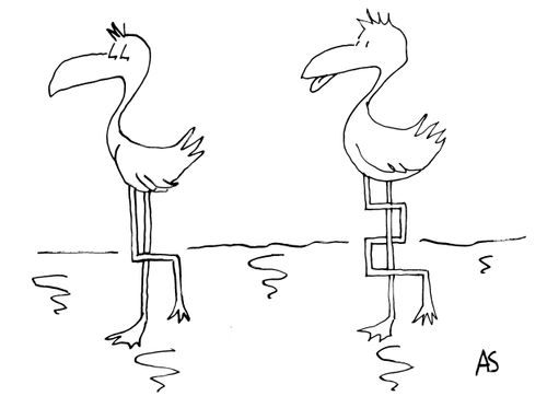 'Flamingos'