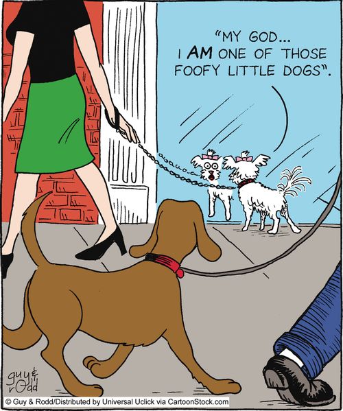 'My god... I AM one of those foofy little dogs!'
