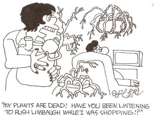 'My plants are dead Have you been listening to Rush Limbaugh while I was shopping'