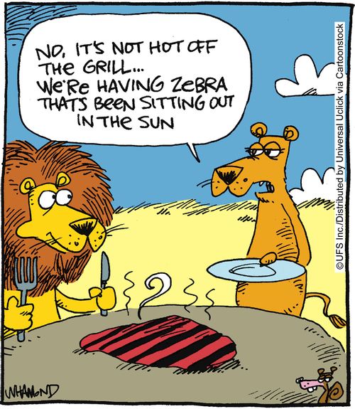 'No, it's not hot off the grill... we're having zebra that's been sitting out in the sun.'