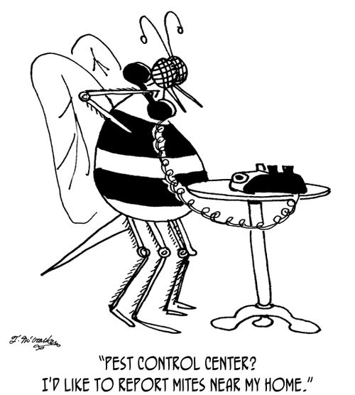 'Pest Control Center? I'd like to report mites near my home.'