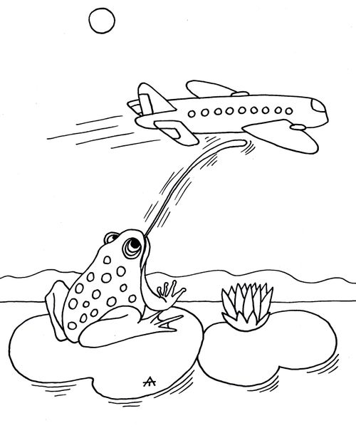 An ambitious frog tries to catch a plane.